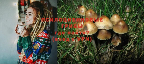 прущий лед Киренск