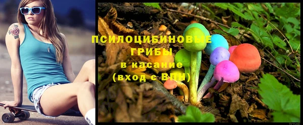 стаф Киреевск