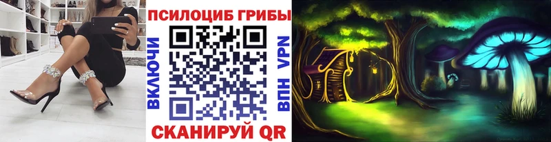 Купить где Дмитров Галлюциногенные грибы мухоморы
