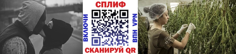 Купить закладки  Дмитров  Бошки Шишки ГИДРОПОН 